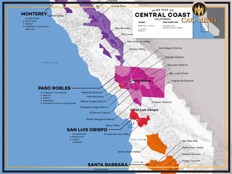 Marcelito Merlot là thành quả của vùng Central Valley, khu vực được mệnh danh là cái nôi của rượu vang Chile