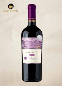 Rượu vang Chile Marcelito Reserve Carmenere