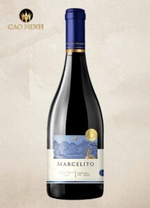 Rượu vang Chile Marcelito Special Reserve Syrah