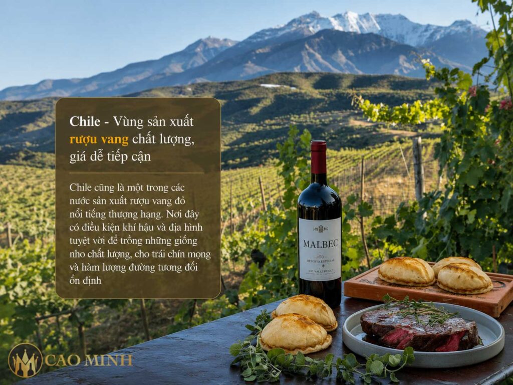 Chile - Vùng sản xuất rượu vang chất lượng, giá dễ tiếp cận