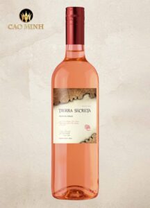 Rượu vang Chile Tierra Secreta Cabernet Sauvignon