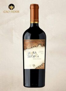 Rượu vang Chile Tierra Secreta Cabernet Sauvignon Syrah