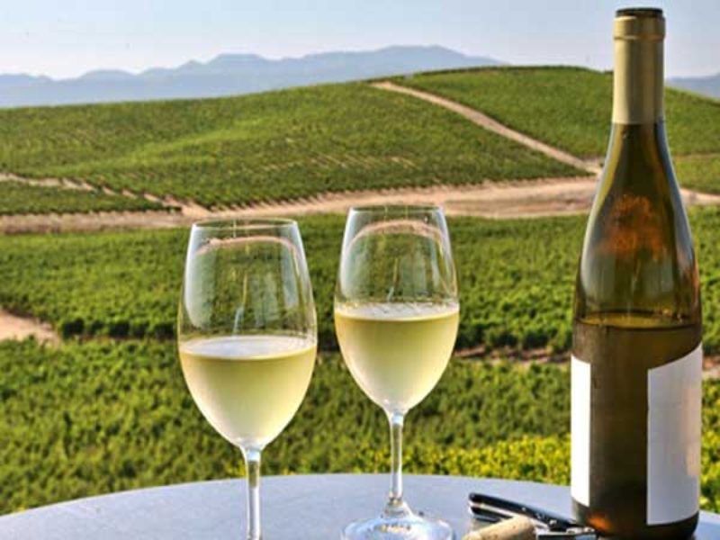 Vang trắng Tierra Secreta Chardonnay ngon nhất khi được ướp lạnh sâu ở nhiệt độ từ 10 – 12°C