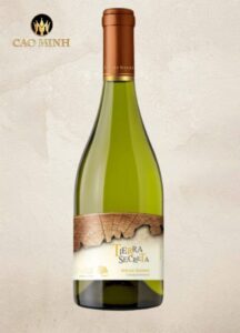 Rượu vang Chile Tierra Secreta Chardonnay