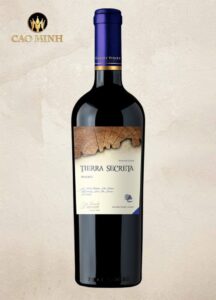 Rượu vang Chile Tierra Secreta Malbec