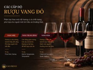 Tìm hiểu các cấp độ rượu vang đỏ để chọn loại vang phù hợp