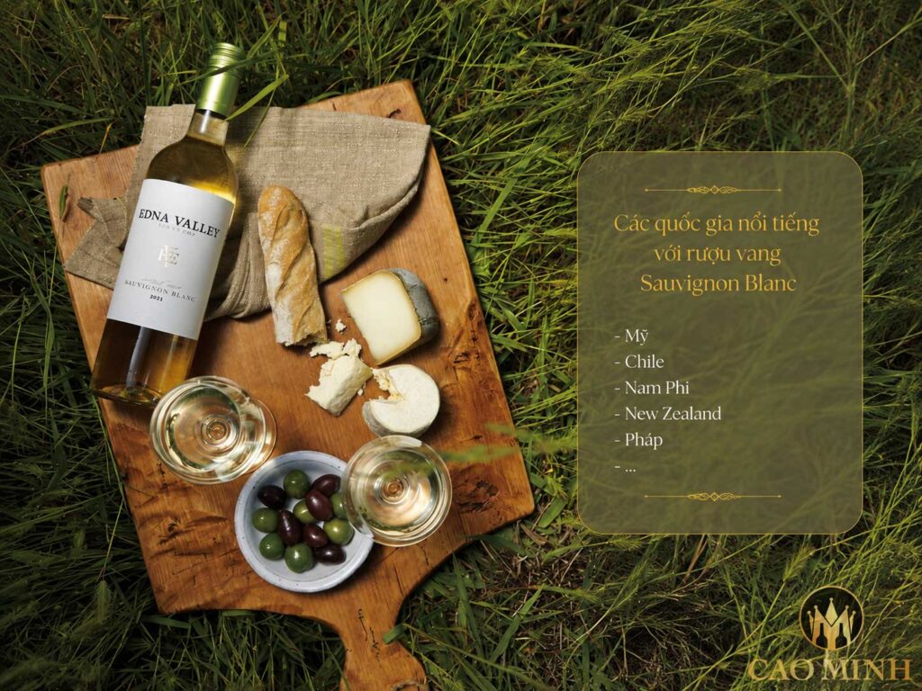 Các quốc gia nổi tiếng với rượu vang Sauvignon Blanc