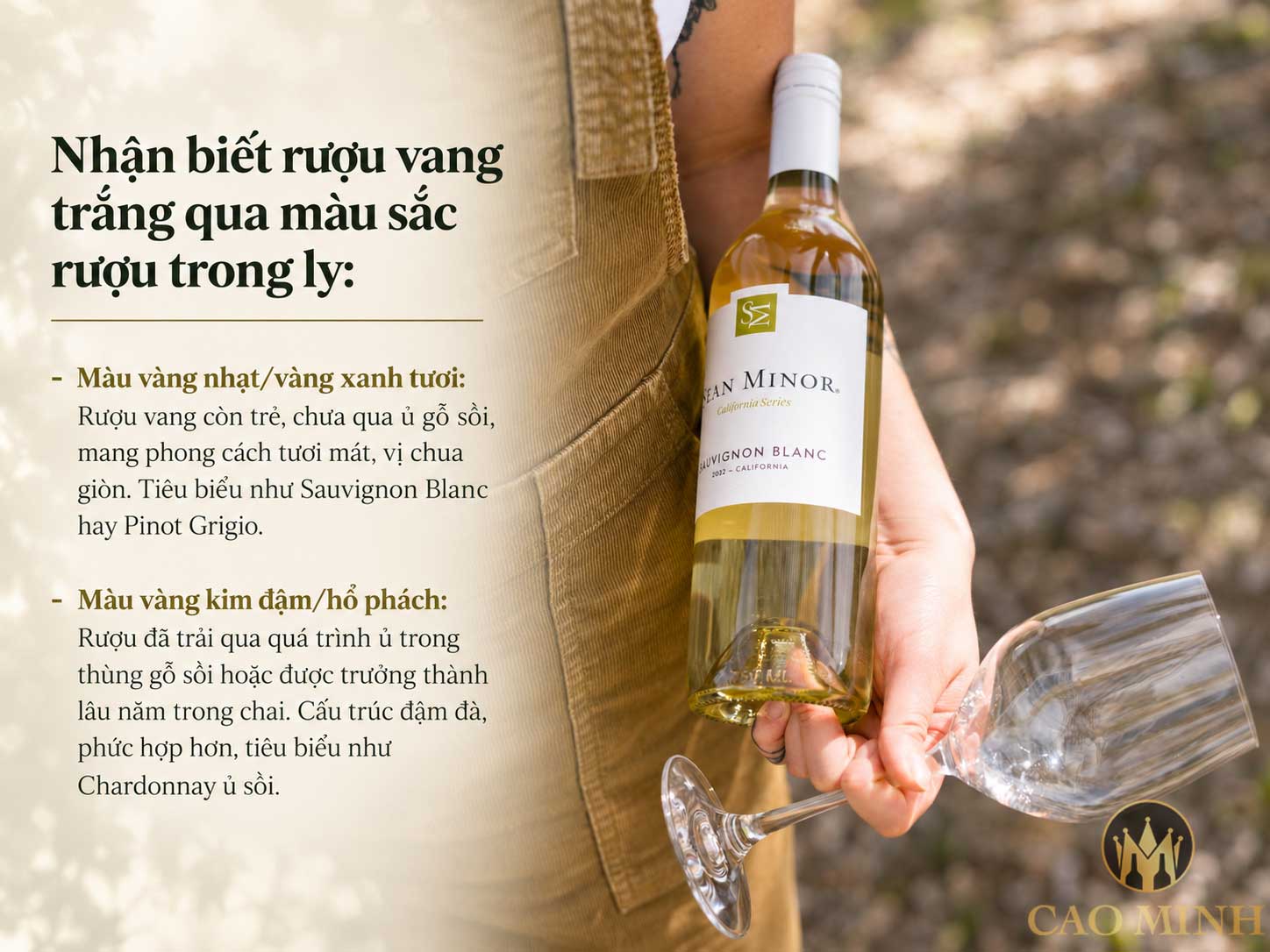 Rượu vang trắng là gì? Cách nhận biết và chọn vang phù hợp