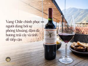 Vang Chile loại nào ngon? Gợi ý dòng vang dễ uống, hợp nhiều khẩu vị