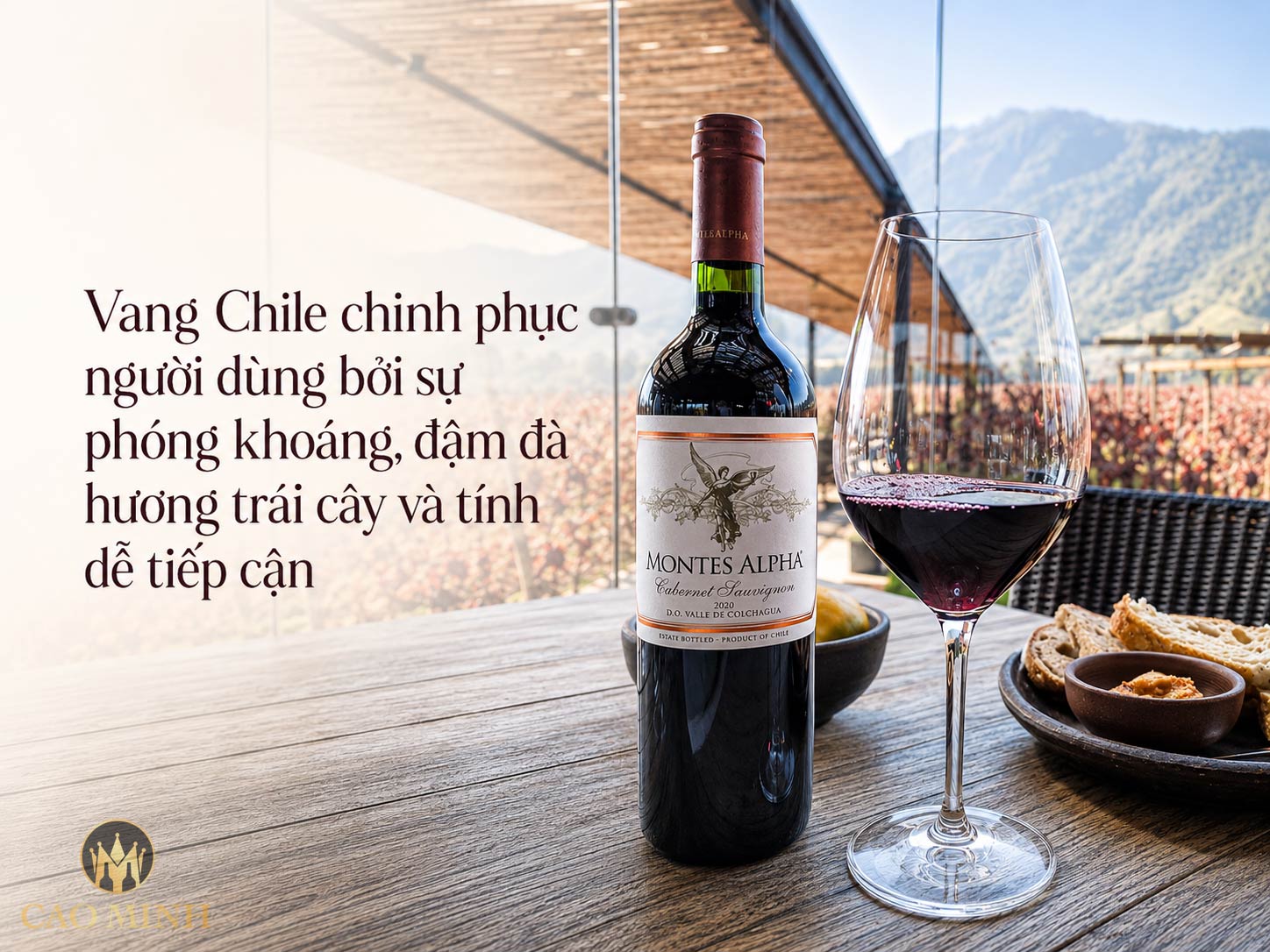 Vang Chile loại nào ngon? Gợi ý dòng vang dễ uống, hợp nhiều khẩu vị