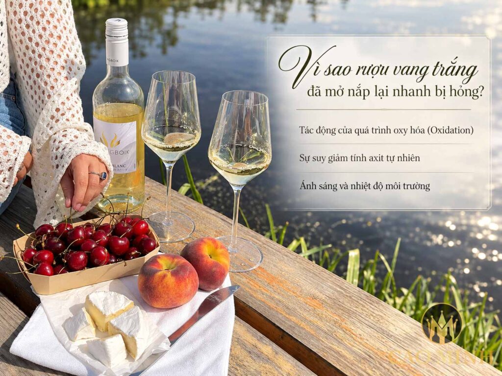 Vì sao rượu vang trắng đã mở nắp lại nhanh bị hỏng?